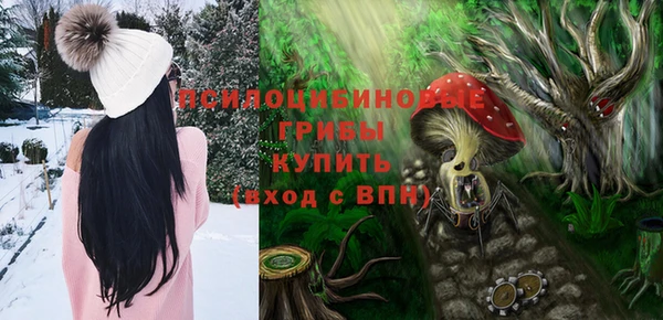 apvp Магадан