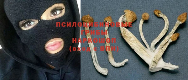 apvp Магадан